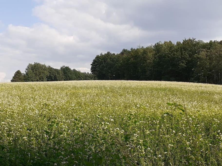 Schoene Und Ruhige Ferienwohnung In Ottendorf Зебниц Экстерьер фото